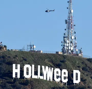 A new high for Hollywood