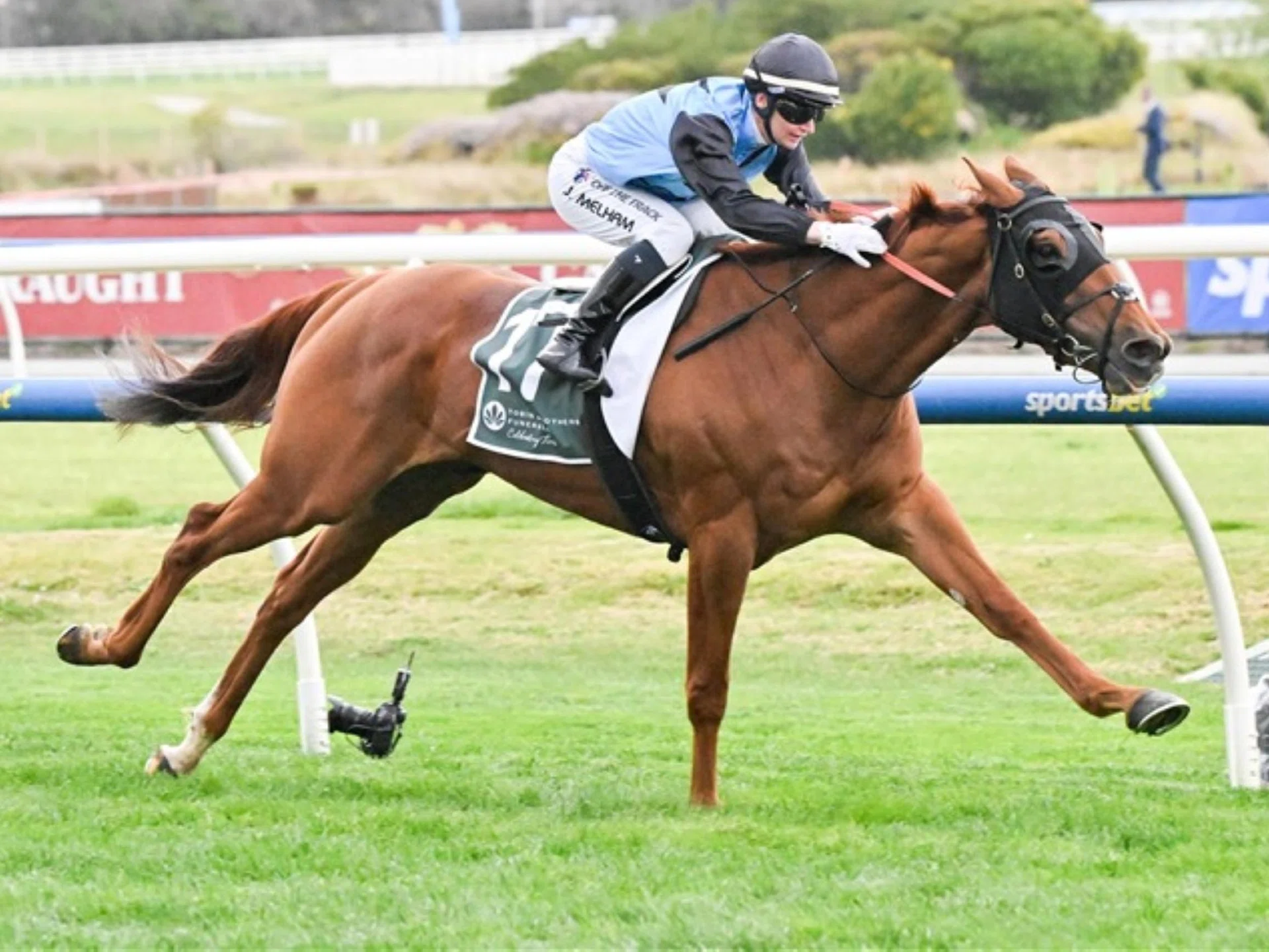 Half Yours (Jamie Melham) finishing strongly in the straight to take out the Group 3 Naturalism Stakes (2,000m) at Caulfield on Sept 20.