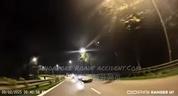 Rare sambar deer killed after BKE accident involving two motorcycles