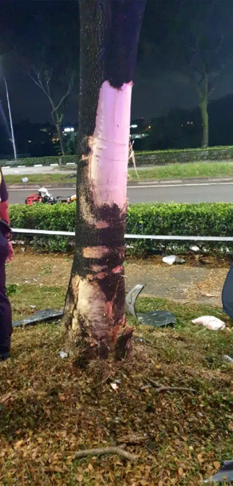 While making a turn on a slip road, Ong Wei Long lost control of his car and slammed into a tree at the side of the road.