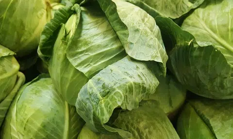 Lorry with pest-infested vegetable made to U-turn to S'pore