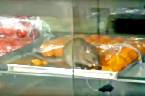 Rats! Restaurant in viral video was wrongly identified