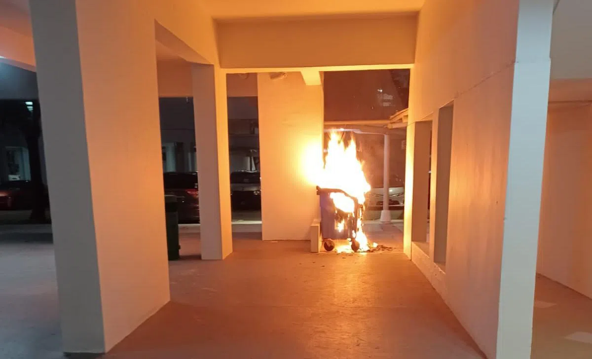 Man allegedly linked to fires in Woodlands charged with mischief