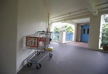Supermarkets counting cost of replacing unreturned trolleys