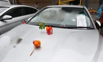 Chicken seller's car smeared with poop, man arrested