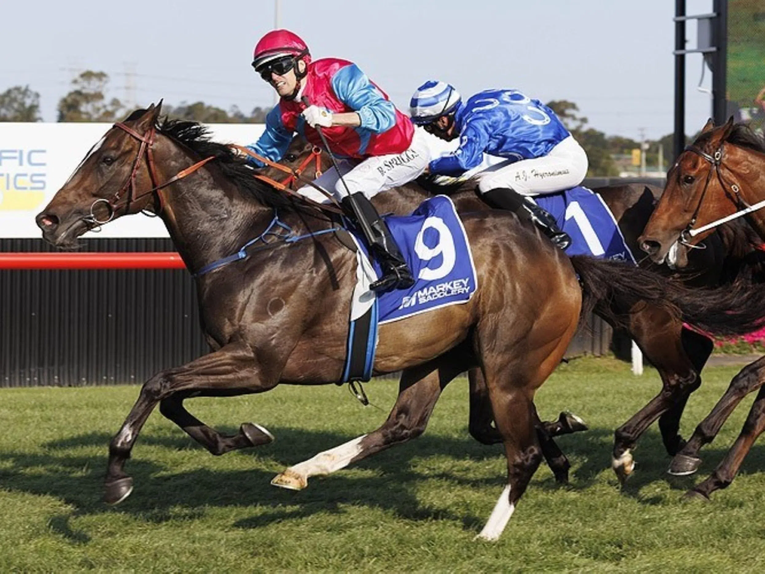 Lloyd keen on Headwall in $4.2m Quokka