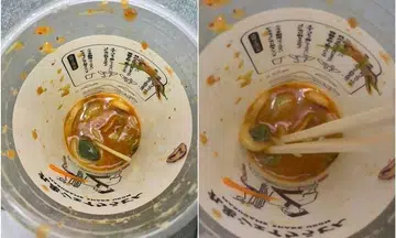 Udon chain in Japan apologises after diner finds live frog in takeaway cup of noodles