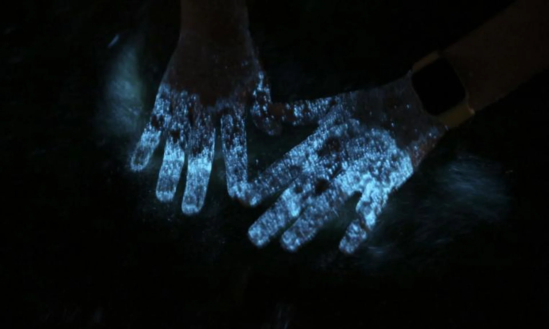 The writer's which is lighting up from the dinoflagellates at Changi Beach Park, on March 23, 2022.