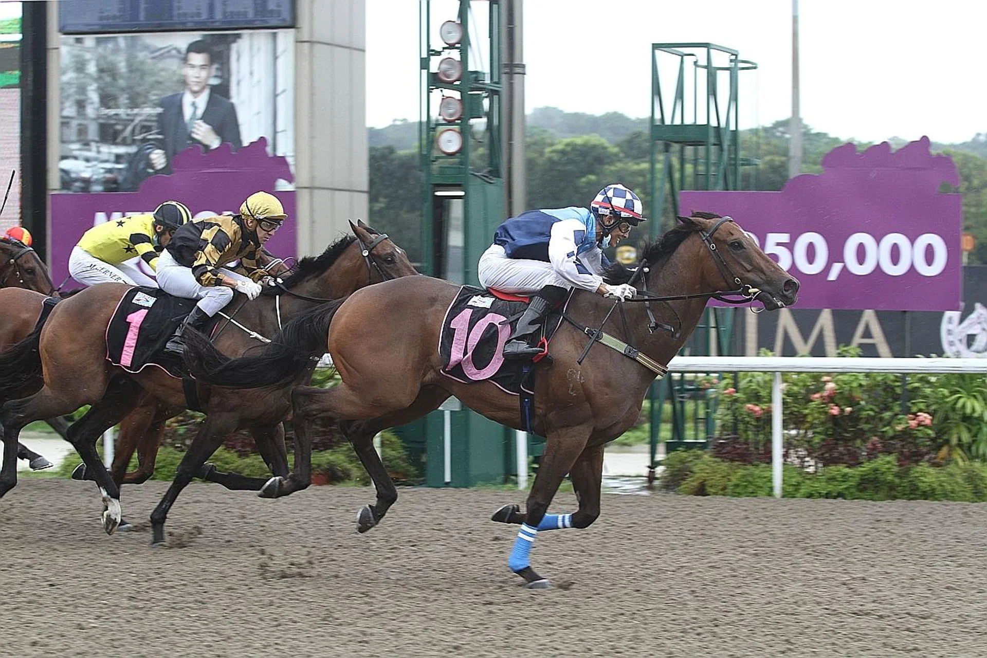 Master Ryker (No. 1) beating all but Arc Triumph on Aug 23. He's set to score from Gate 1 with the 3kg claim.