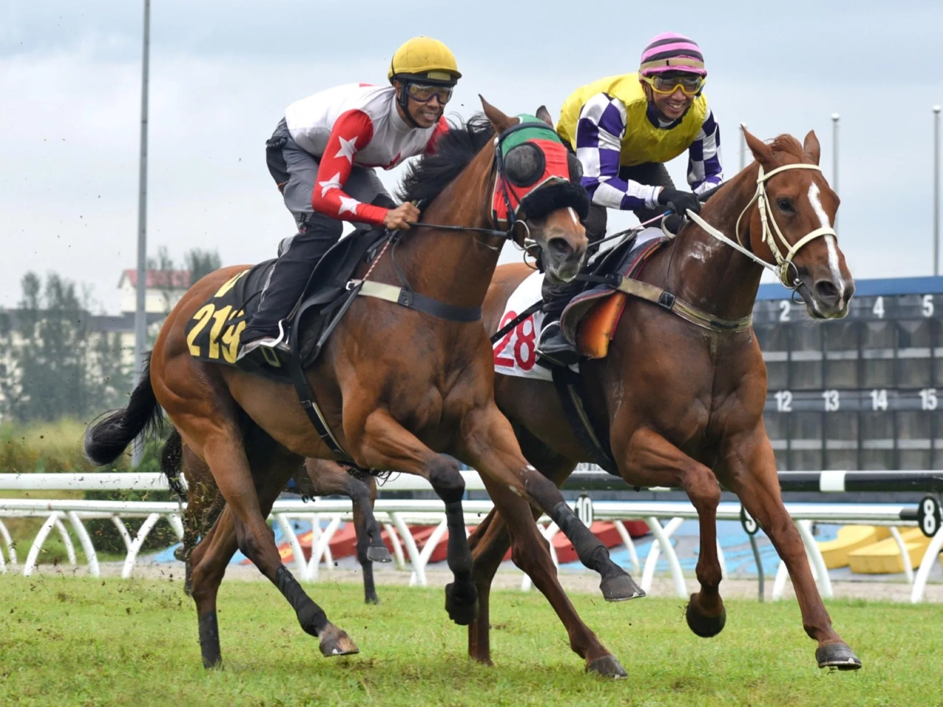 Candy Rain (No. 28) just holding off Rocketship by a short head in trial No. 2 at Sungai Besi on June 10.