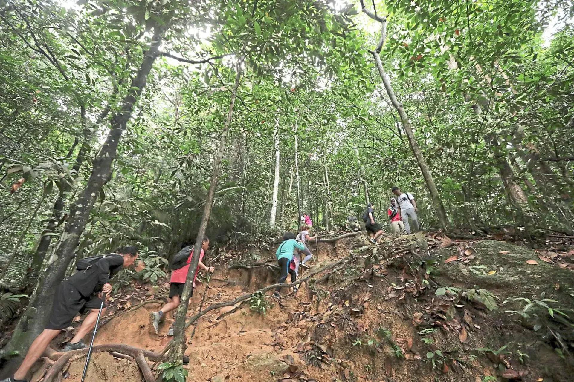 All permit applications for recreational and hiking activities should be submitted through the Selangor Forestry e-Permit System.