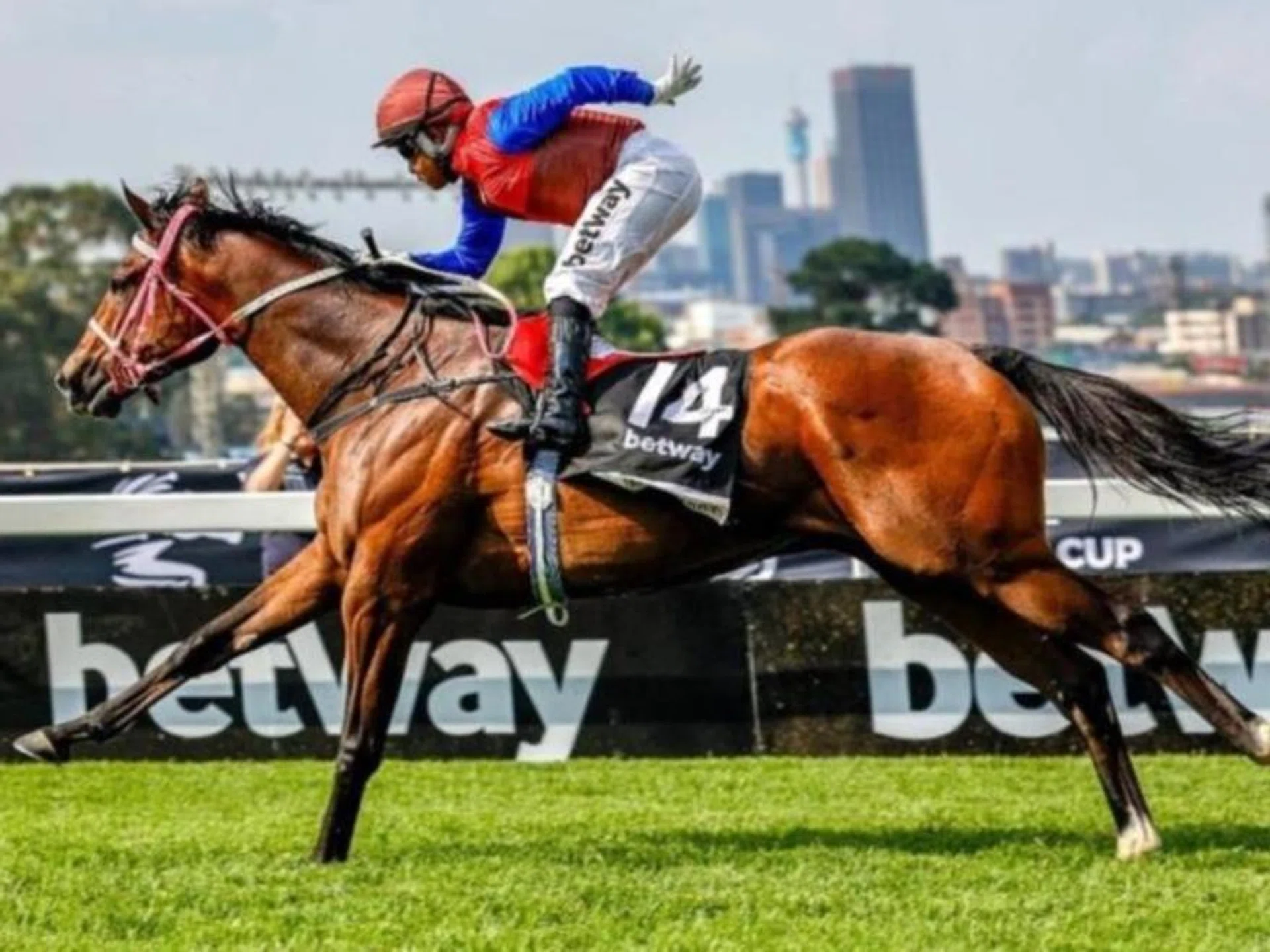 The 2023 Grade 1 Betway Summer Cup saw an upset win by the Nathan Kotzen-trained Royal Victory, who was ridden by Singapore Gold Cup-winning jockey Muzi Yeni. Gavin Lerena has been handed the reins for the gelding's title defence on Nov 30.

