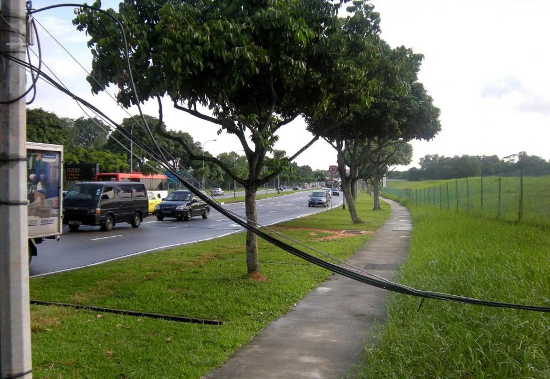 Ms Siew Pick Chiang struck the hanging cables along Pasir Ris Drive 8 in 2009. 