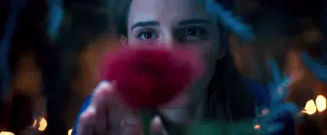 The Force is stronger with Beauty And The Beast