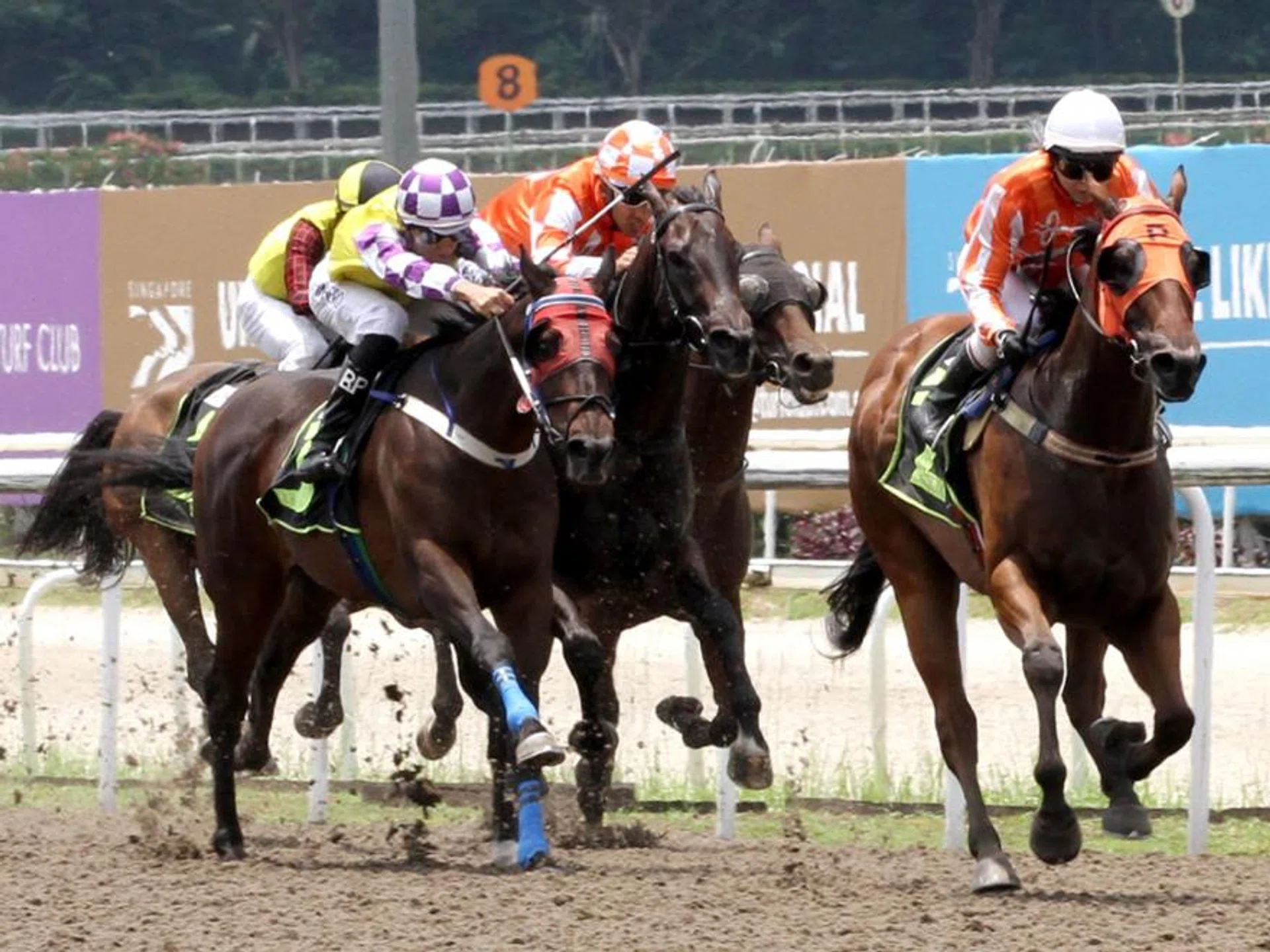 Odds-on fancy Pacific Scout (Jerlyn Seow), on the rails, staving off the hard-ridden Sacred Gold (Bernardo Pinheiro) to take out Race 2 at Kranji on April 27.
