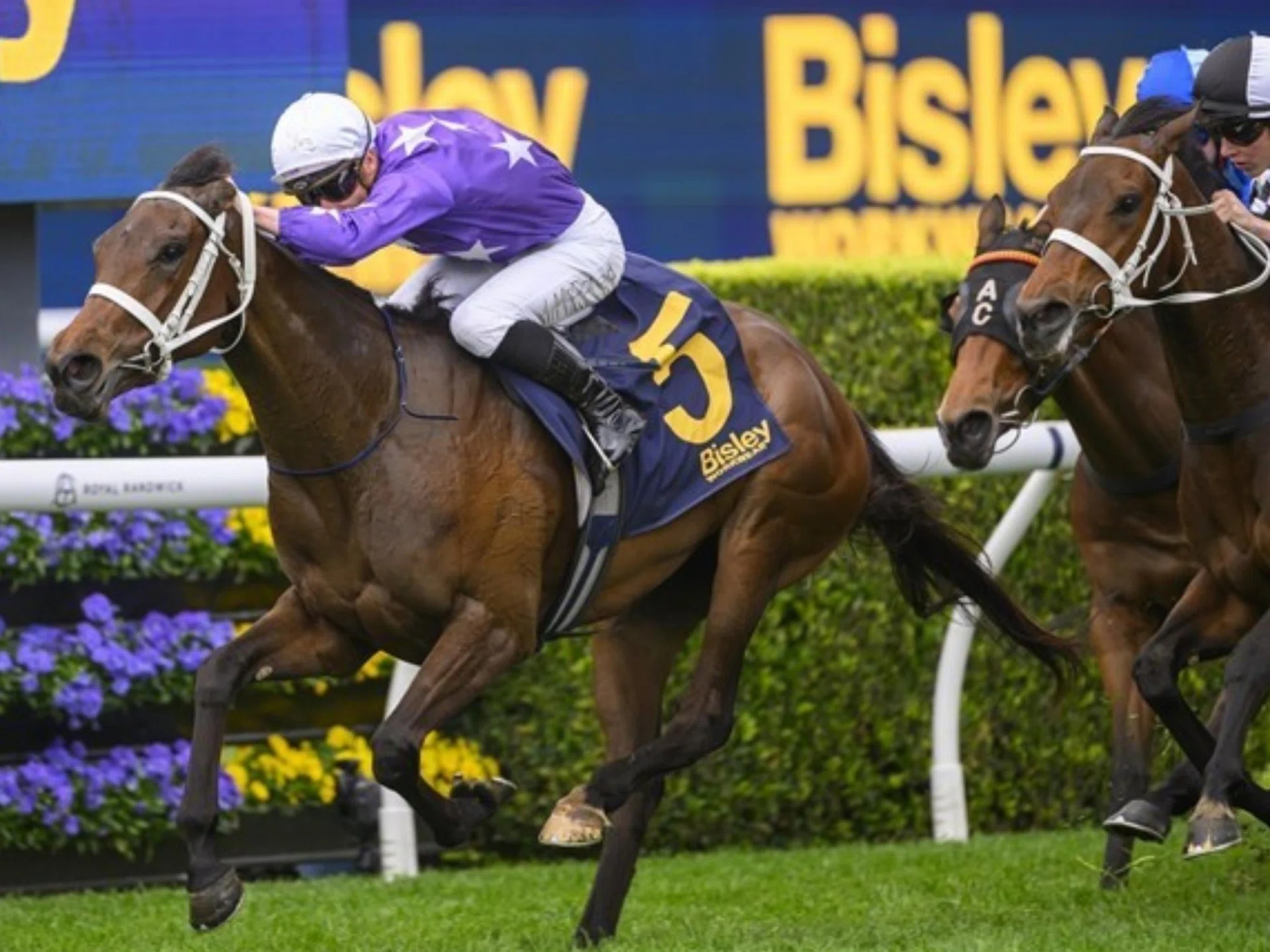 Aeliana (James McDonald) claiming the Group 3 Reginald Allen Quality, a 1,400m race for 3YO fillies at Randwick on Oct 19, 2024. The Castelvecchio filly will now take on the males in the Group 1 Australian Derby (2,400m) for 3YOs at the same track on April 5.
