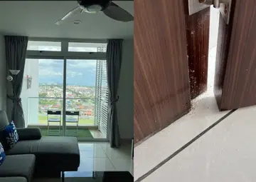 Singaporean finds Johor Bahru condo unit booked on Airbnb infested with insects