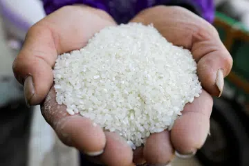 Get your rice right with FairPrice Housebrand's extensive range