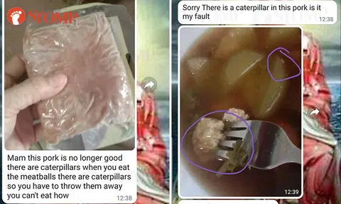 Maggots wriggle out from minced pork cooked in soup