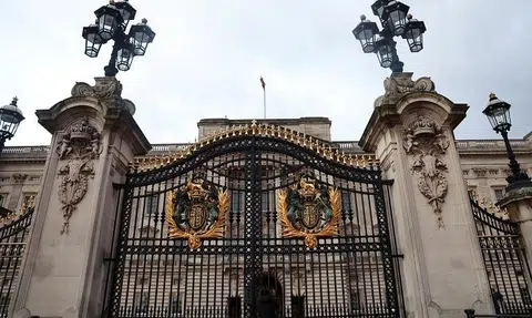 Man arrested for crashing car into Buckingham Palace gates