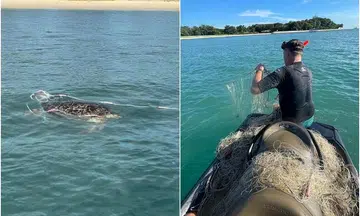 Two men free stingray and rare turtle trapped in large fishing net off Lazarus Island