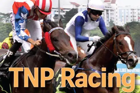 Race cards for Oct 26 & Oct 27