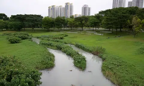 White liquid turns Bishan-Ang Mo Kio Park river cloudy