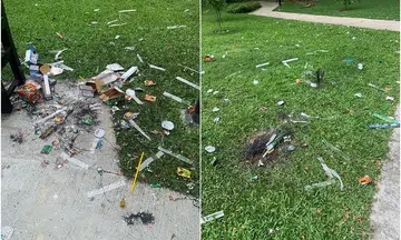 Banner asking residents to clean up litter after Deepavali revelry to be taken down