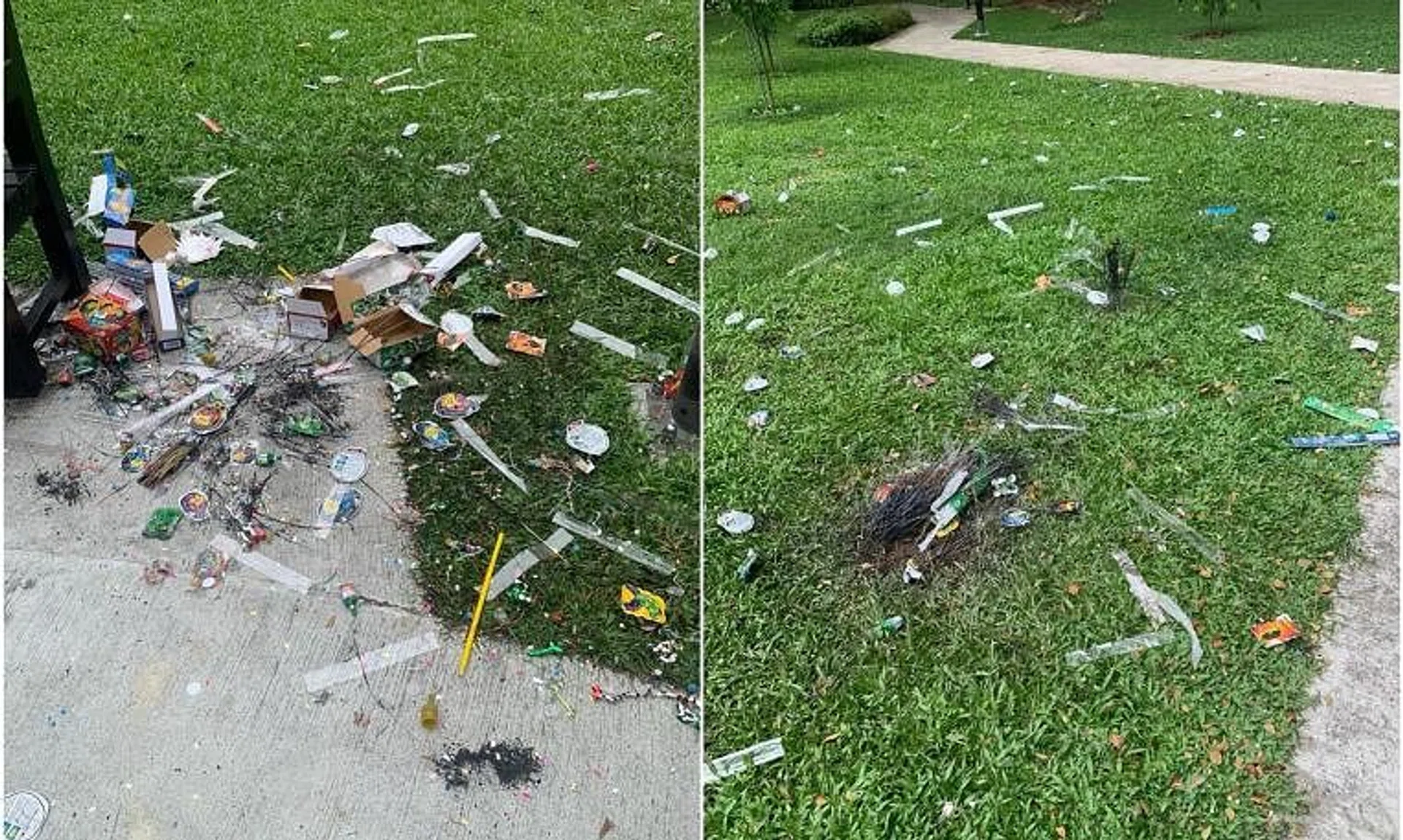 Photographs of the aftermath of Deepavali celebrations in the area showed sparklers and plastic wrappers strewn about the grass fields. 