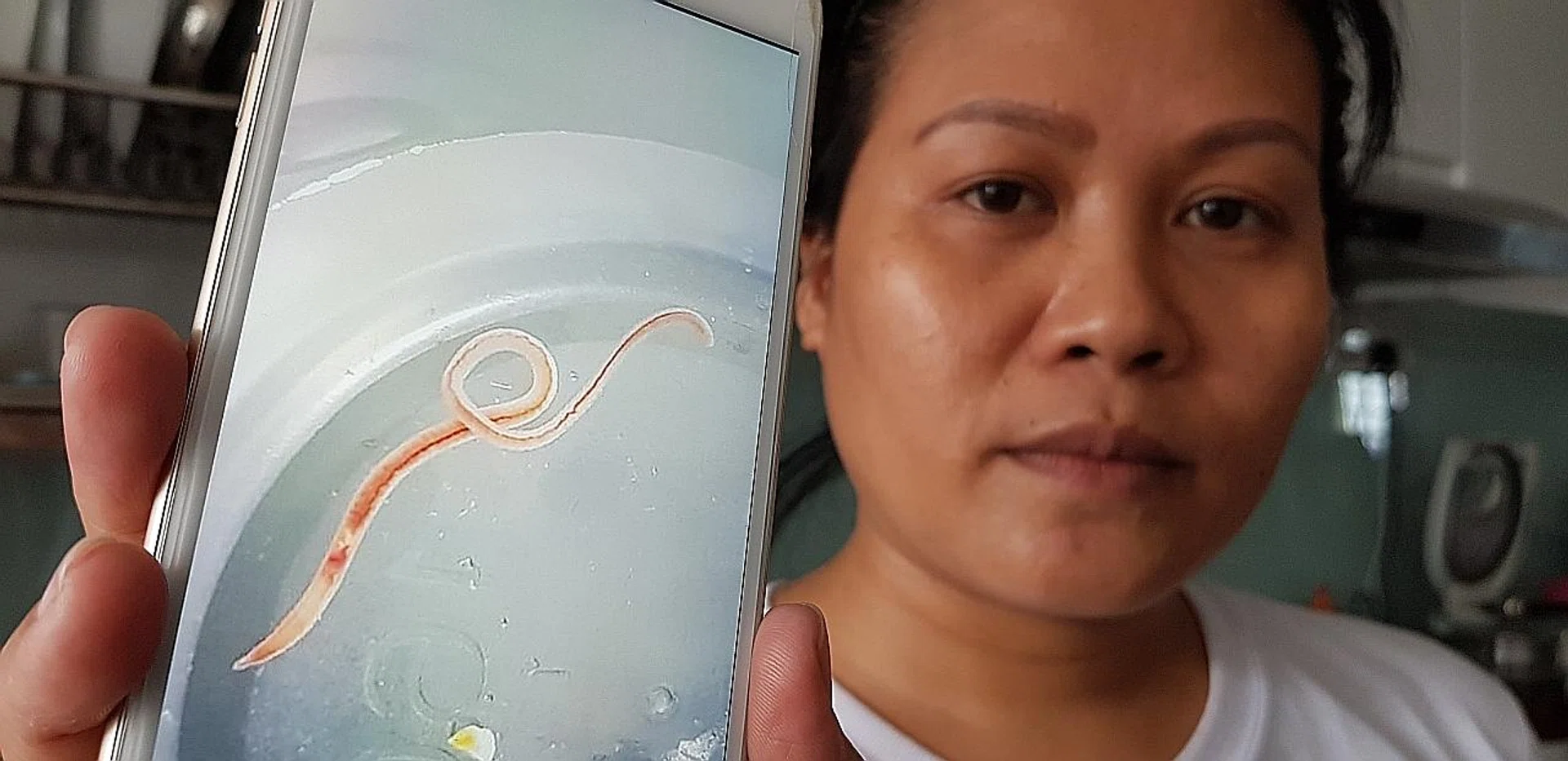 Ms Zhang's domestic helper showing a photo of the worm which she said came out of the tap when she was cleaning the children's milk bottles. 