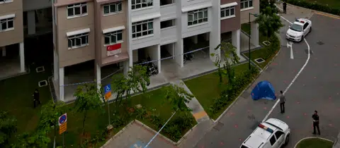 Benjamin Lim case: He wasn't a suicide risk