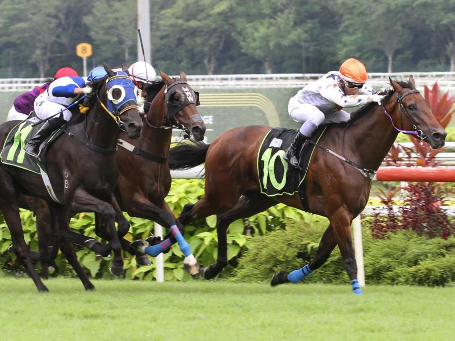 Hasten (Bruno Queiroz, No. 10) holding on to his lead in the Class 4 (1,400m) as stablemate Sousui (Carlos Henrique, No. 11) and Te Akau Ben (Vitor Espindola, obscured) close in.
