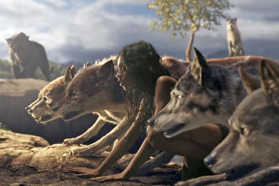 Mowgli, Widows