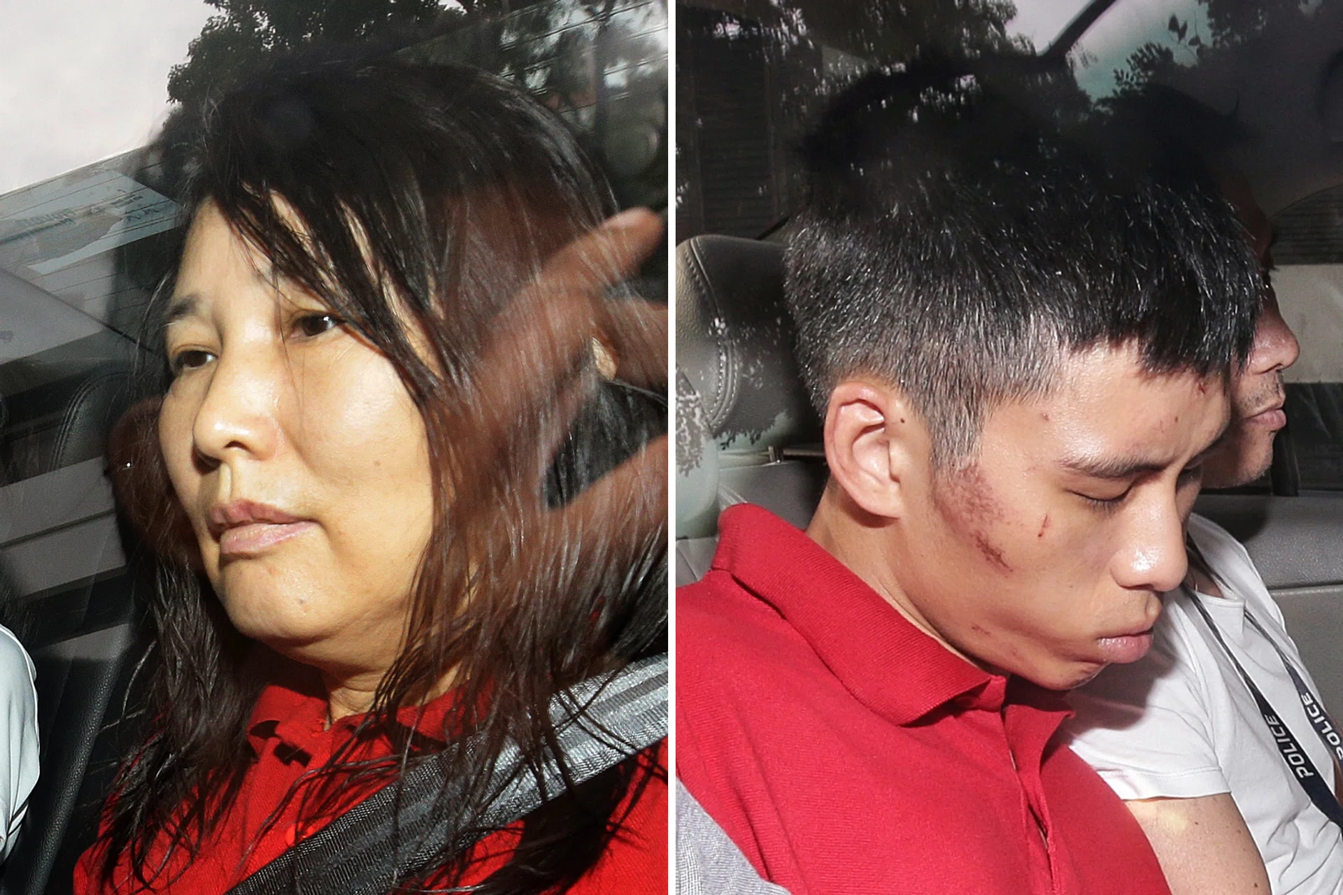 (From left) Wang Shuzhen is accused of killing a 63-year-old man. Gabriel Lien Goh allegedly killed a 56-year-old and is a suspect in another death. 
