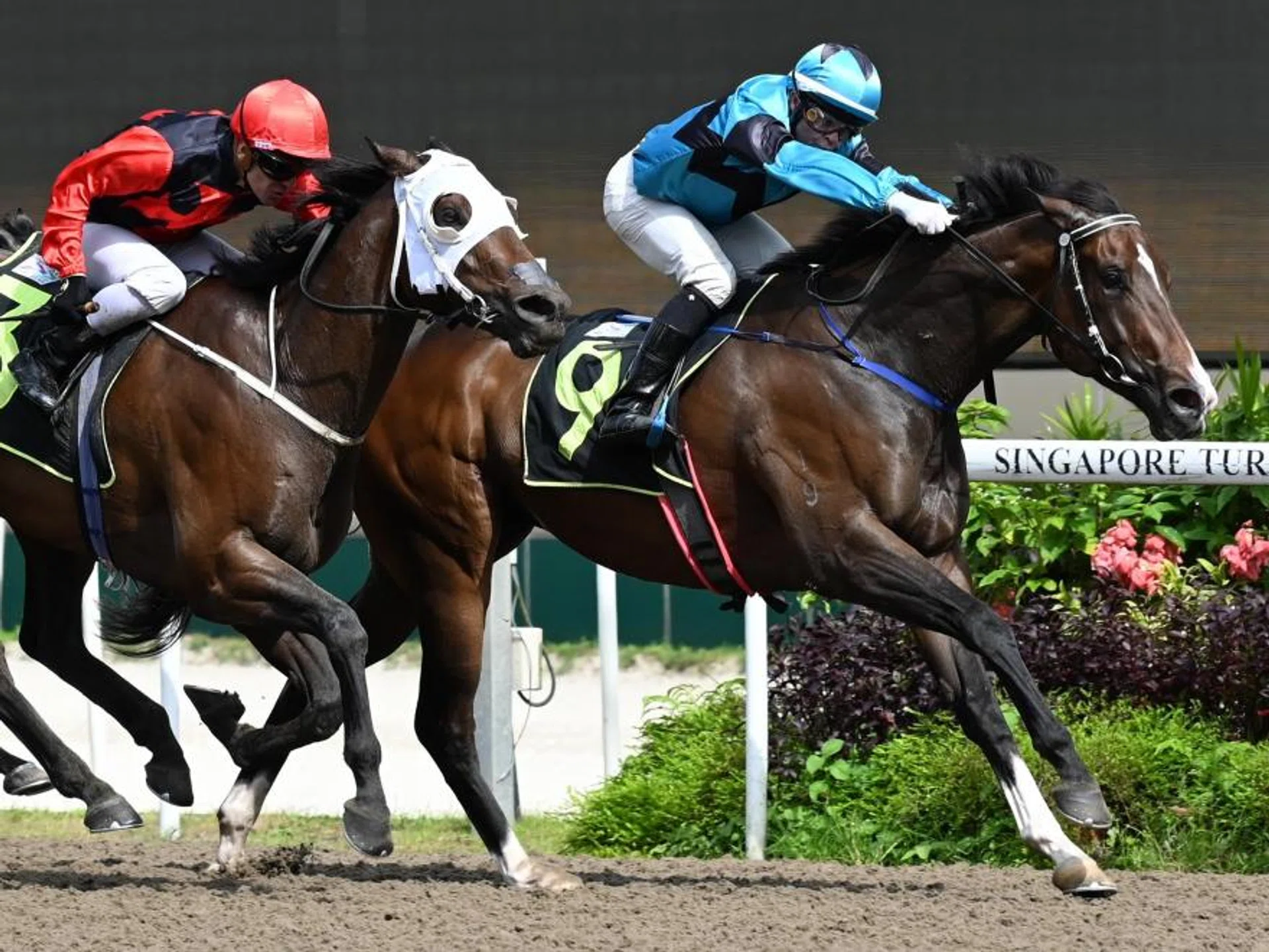 Renzo (Vlad Duric) looming large on the outside but favourite Lord's Command (Manoel Nunes) holds sway to score by a neck on Jan 6.

