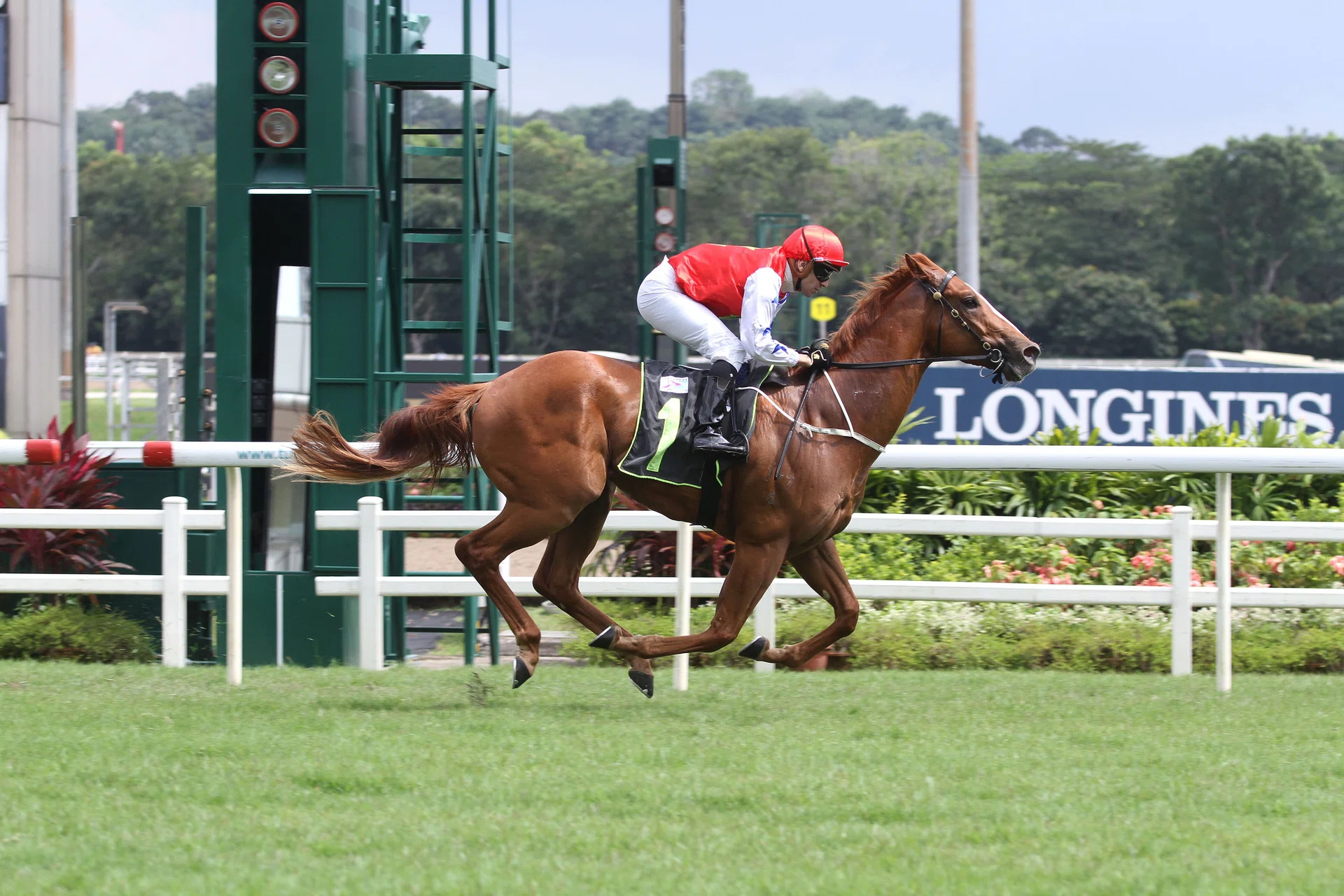 Rise Of Empire in his only win on Jan 12. 