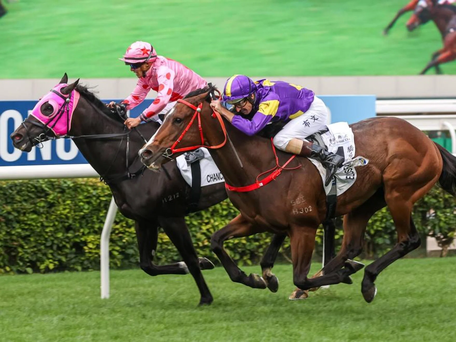 Helios Express (Hugh Bowman) flashing home on the outside to beat Chancheng Glory (Keagan de Melo) in the Hong Kong Classic Cup (1,800m) for four-year-olds at Sha Tin on March 3.