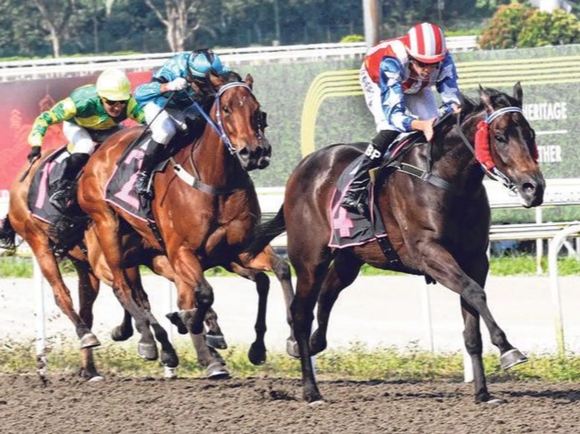 Big Union (Bernardo Pinheiro) completing his hat-trick in a Class 3 1,100m race on the Polytrack on Sept 1. The Jerome Tan-trained galloper will be up against stiff opposition in the Class 1 1,400m turf event on Sept 21.
