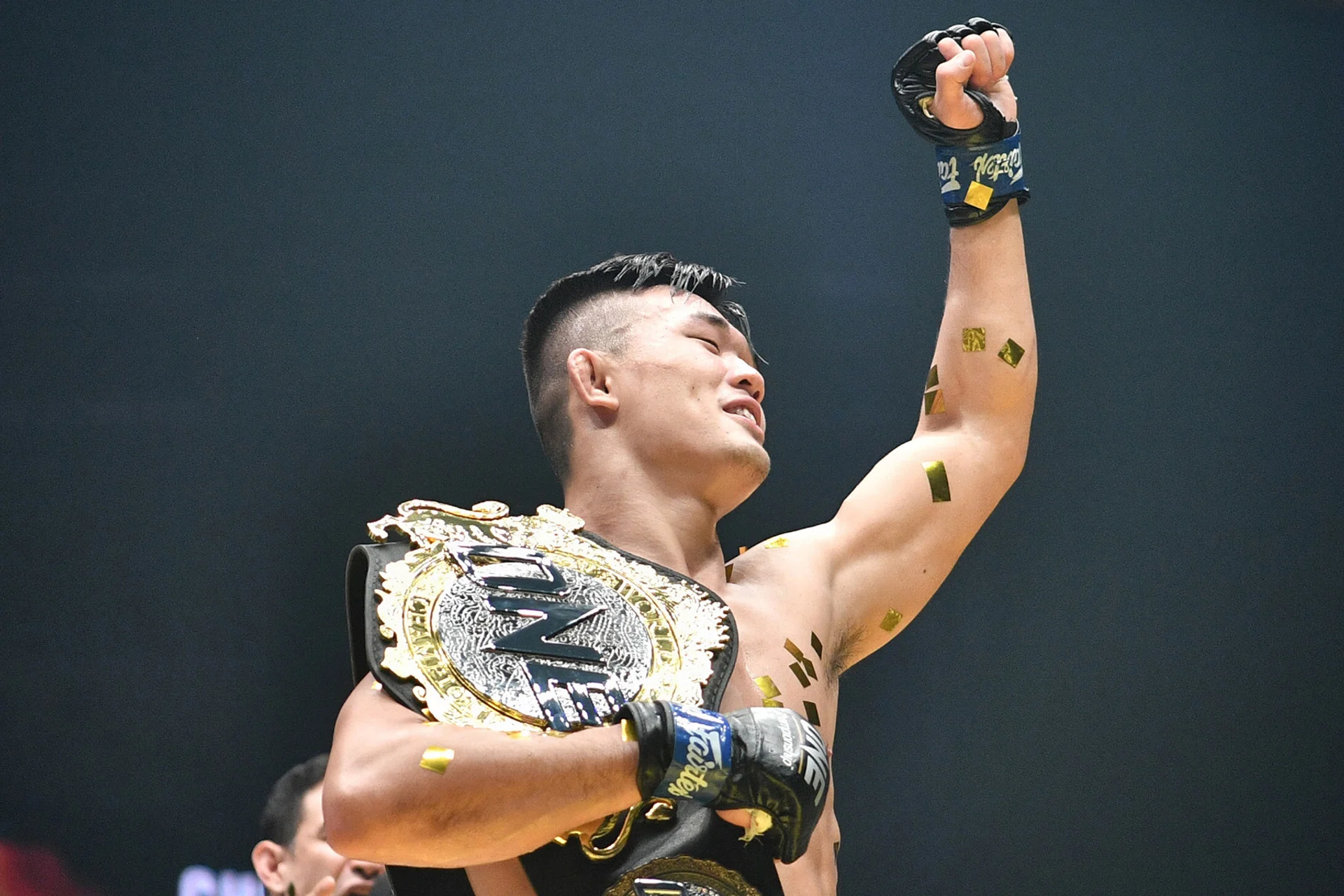 Christian Lee has impressed with first-round knockout wins in his two title defences. 