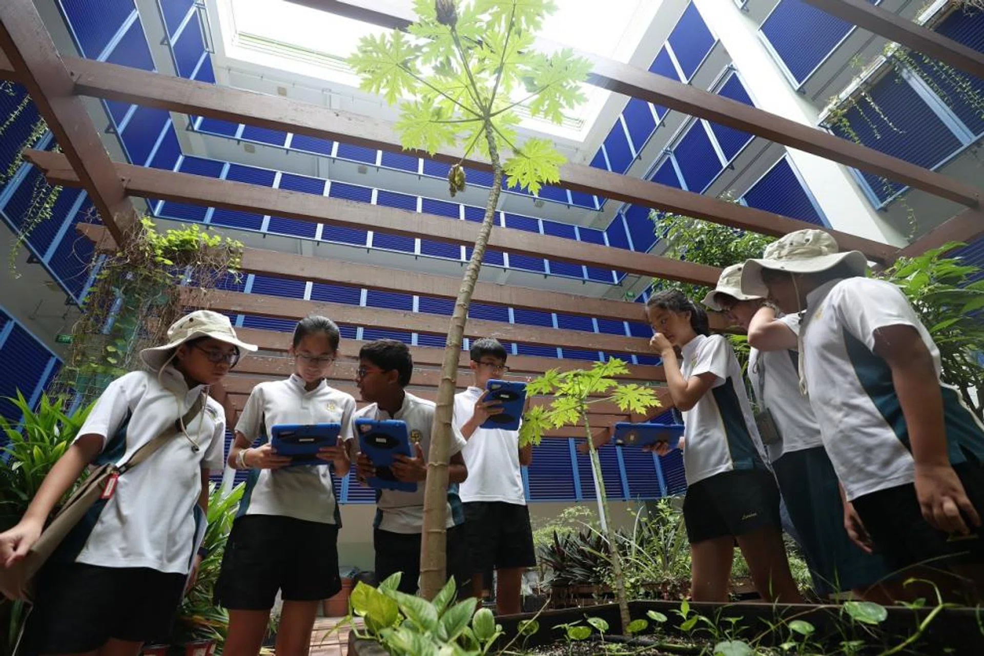 Pupils observing plant species in the garden at Lianhua Primary School and using an app to earn points to collect collar pins on completing tasks.