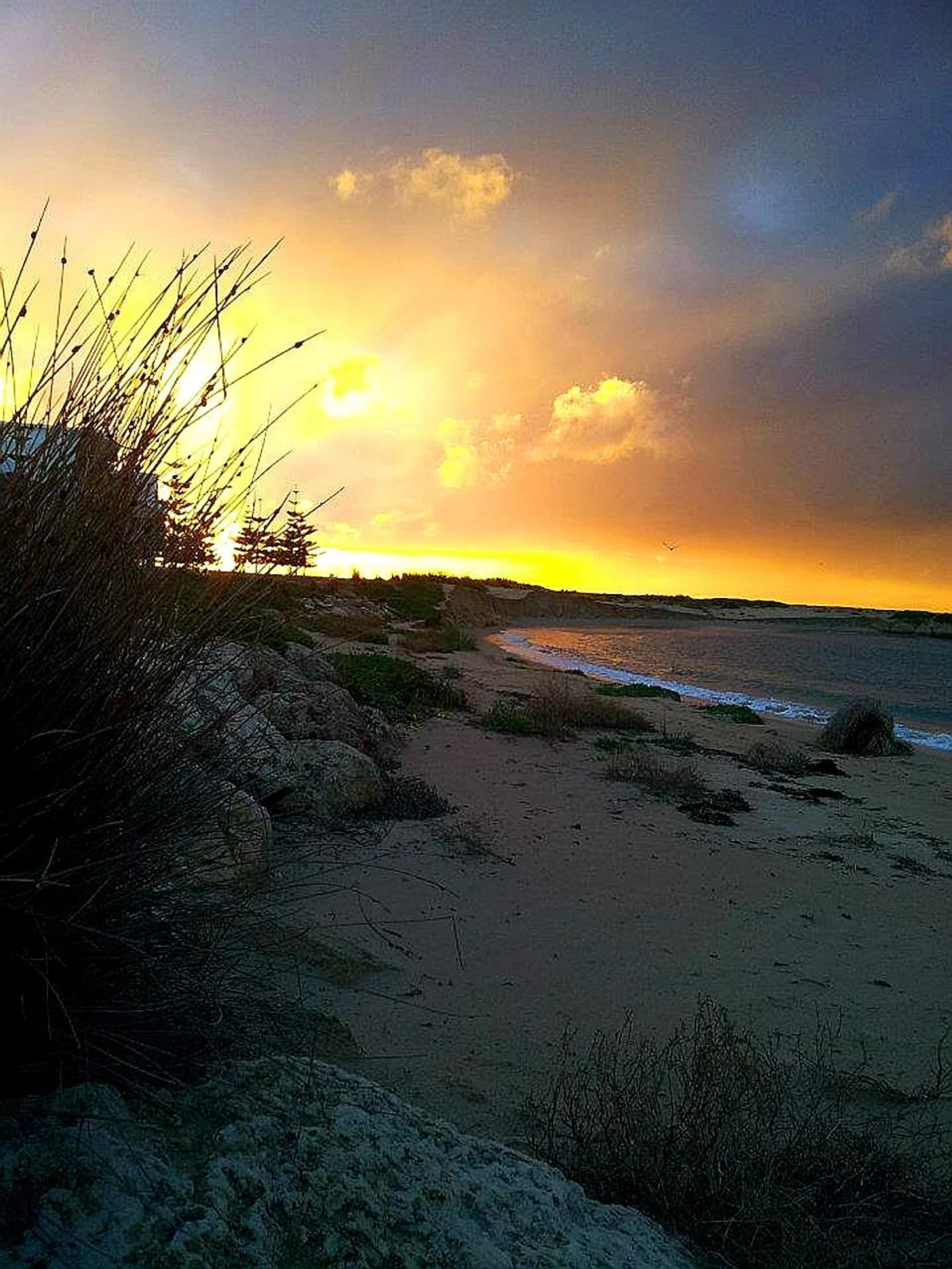 Perth beaches boast spectacular views. 