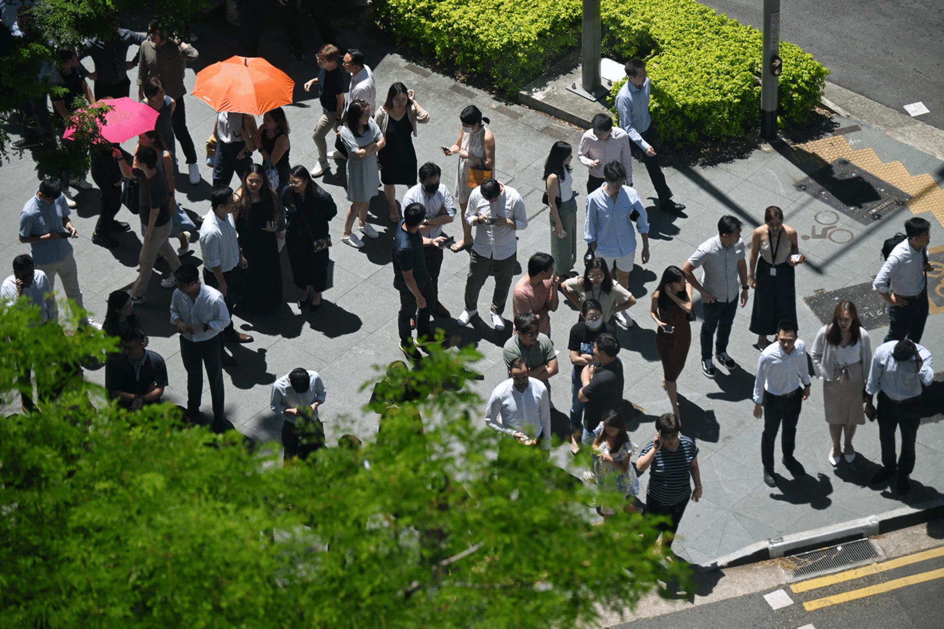 Around 60 per cent of the applications for the SkillsFuture Jobseeker Support scheme were rejected over eligibility issues. 