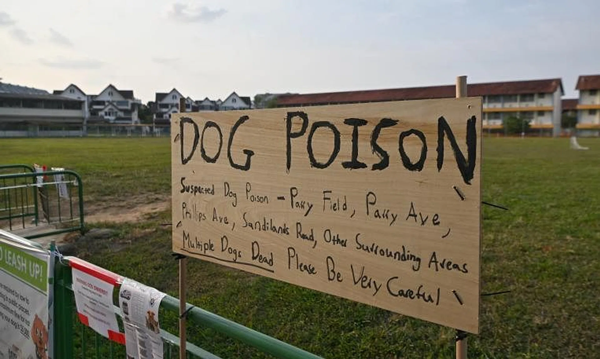 Across separate cases, owners said on social media that their dogs experienced symptoms consistent with poisoning after visiting the field in Parry Avenue.