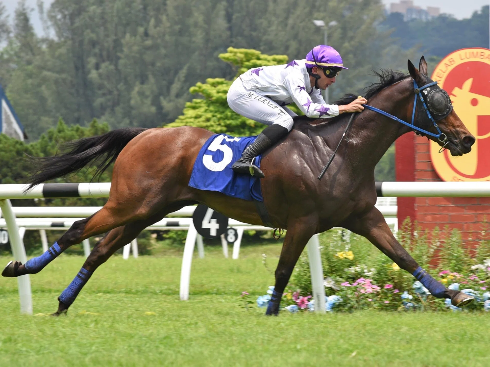 One Abracadabra giving French jockey Marc Lerner a fourth win in Malaysia at the Tunku Gold Cup meeting in Selangor on March 16.