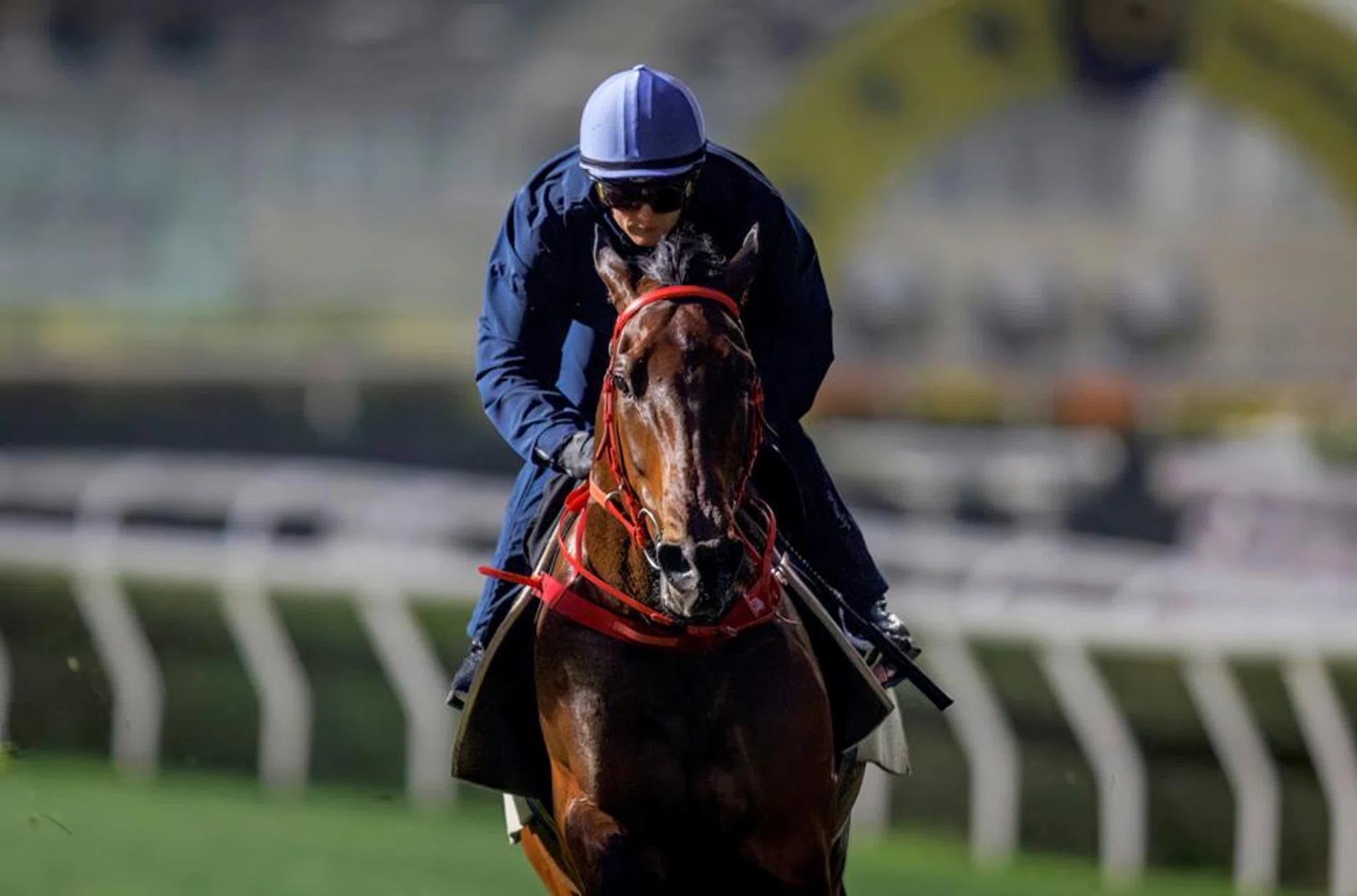 Dazzling debut winner Massive Sovereign stretching out under champion jockey Zac Purton at Sha Tin on March 19 in his preparation for the BMW Hong Kong Derby (2,000m) on March 24.