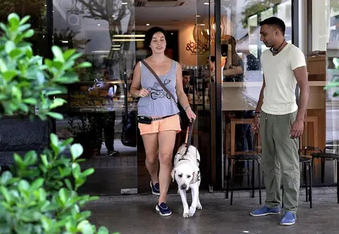 He is to be Singapore's first Guide Dog Instructor
