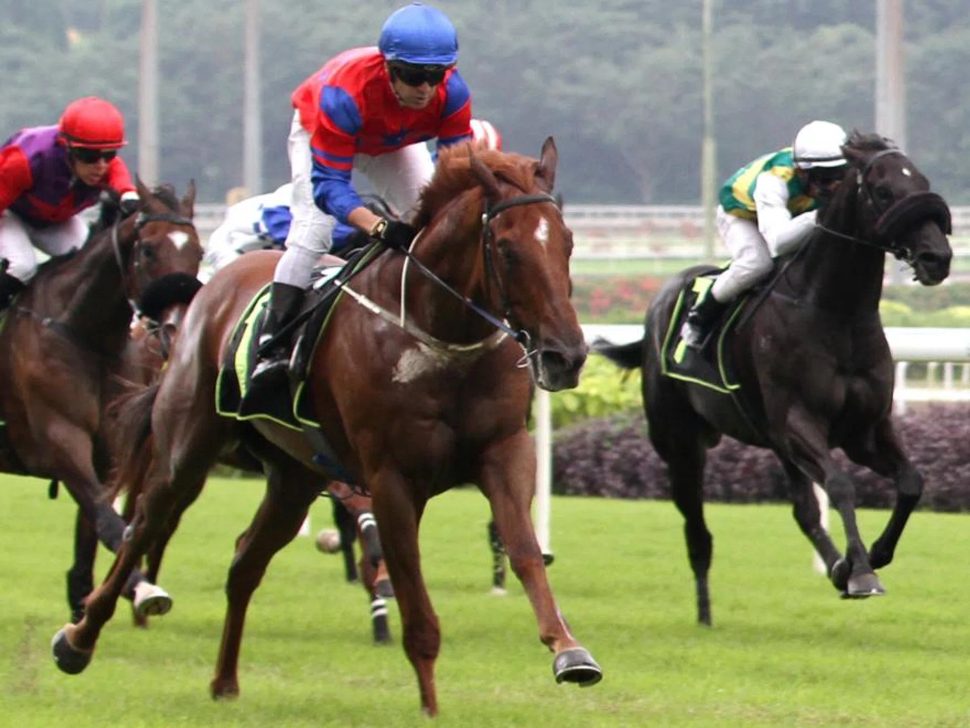 Lightning Strike (Vlad Duric) registering the last win from his four-in-a-row in a Class 4 (1,800m) on Dec 30.
