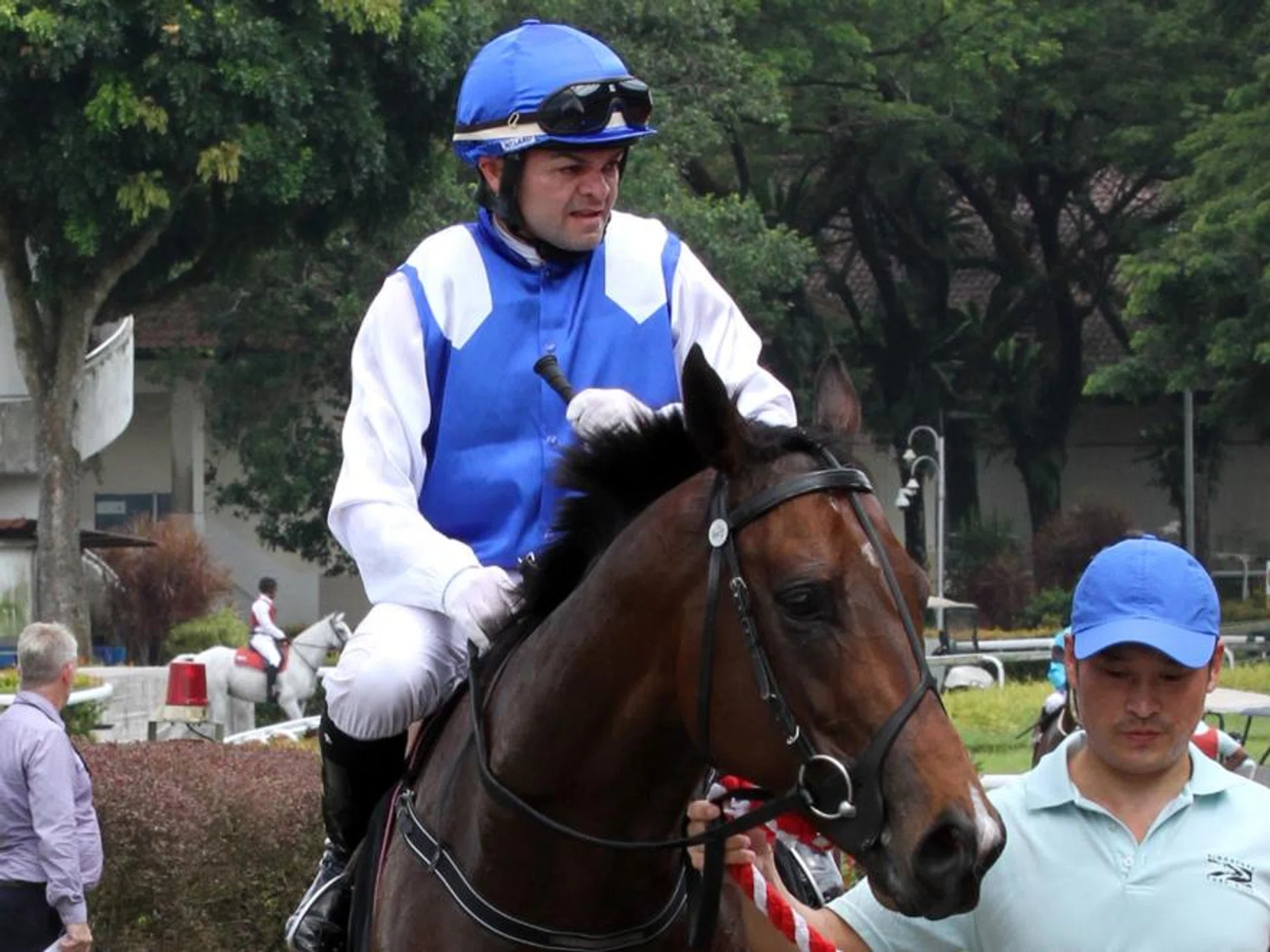 Manoel Nunes has ridden Ghalib to all his seven wins, but an eighth in the Group 1 Lion City Cup (1,200m) on July 28 will take the cake.
