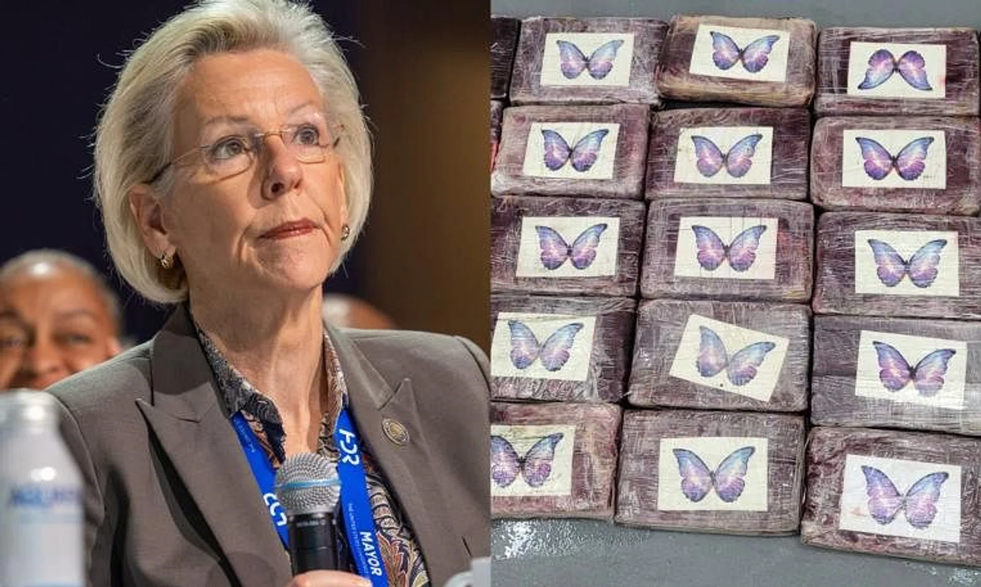 Tampa mayor Jane Castor found about 30kg of cocaine, valued at around US$1.1 million (S$1.4 million).