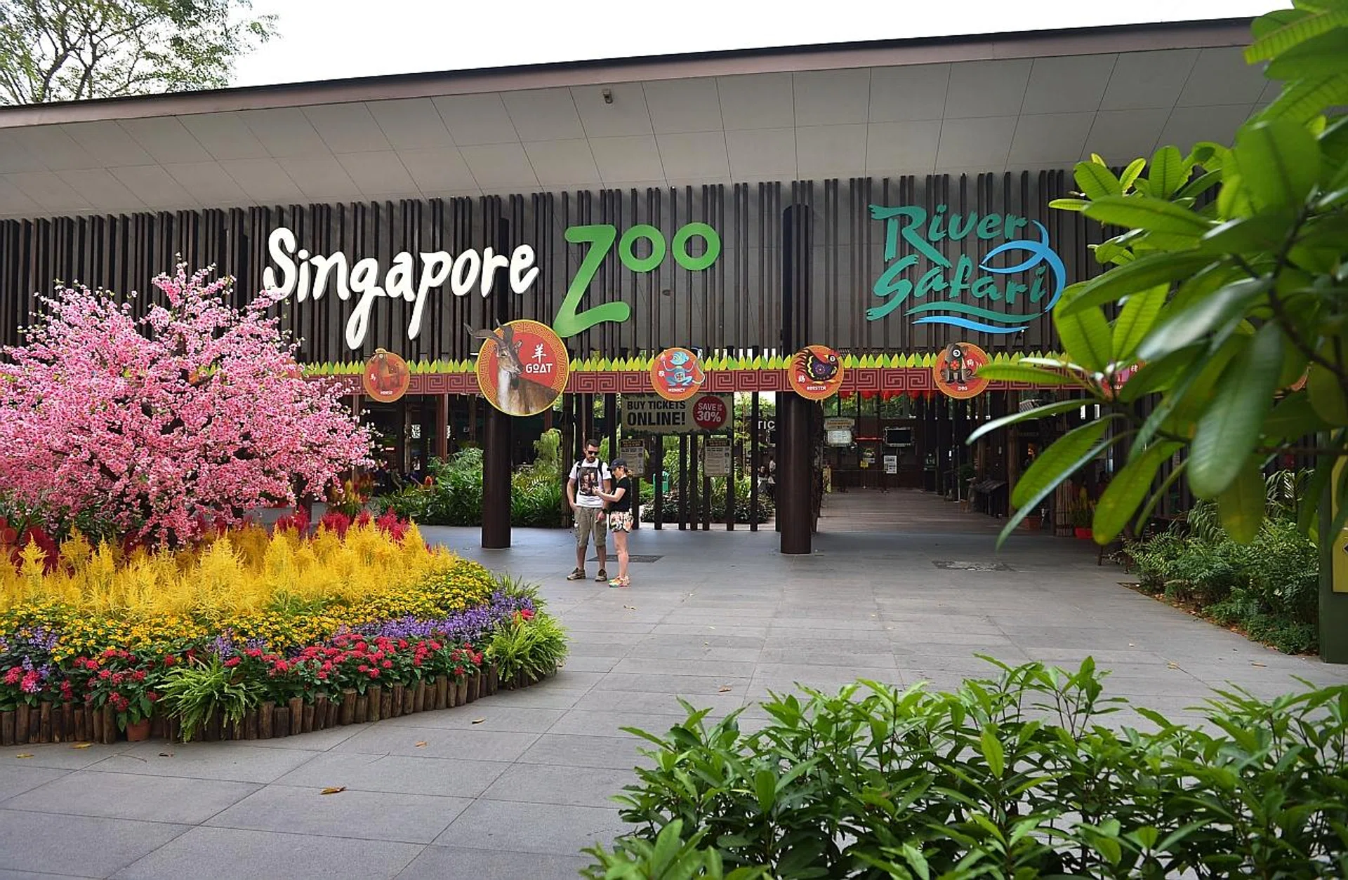Wildlife Reserves Singapore has banned the companies from bidding for any of its projects. 